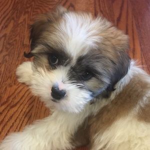 Meet your Posher, Jillian